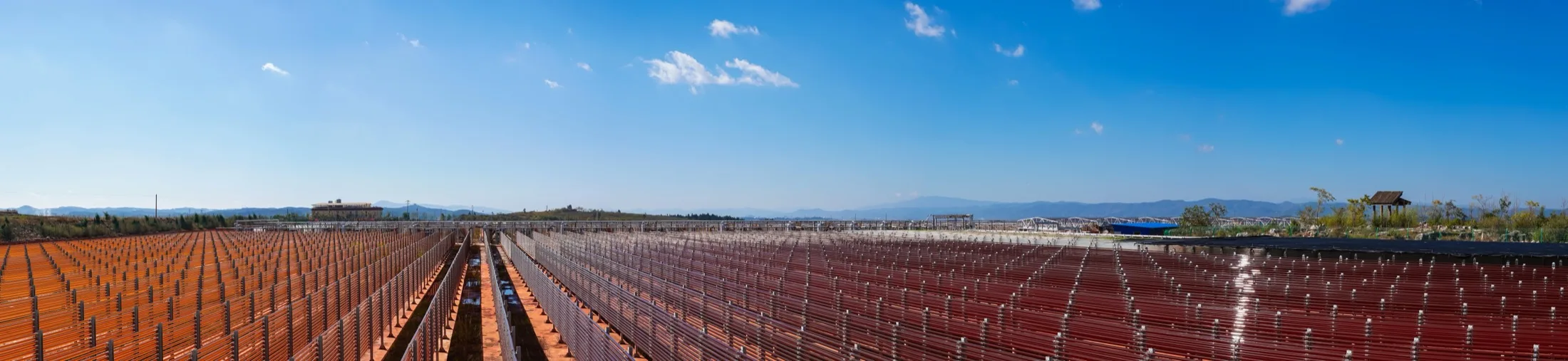 ASXAN microalgae photobioreactor farm at 1,880 m altitude in Yunnan — rows of cultivation raceways under open sky